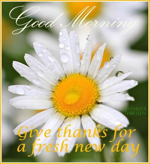 Give Thanks For A Fresh New Day - Good Morning-wg034169