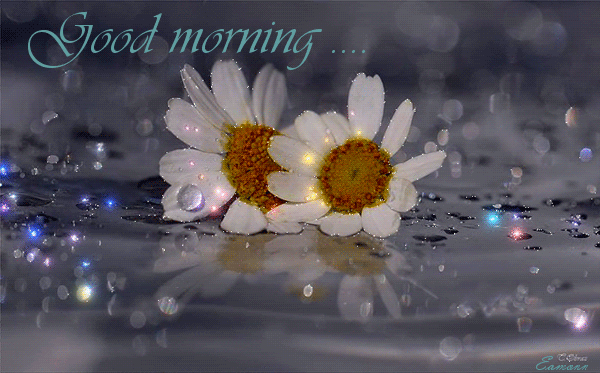 Glitter Photo - Good Morning-wg0180108