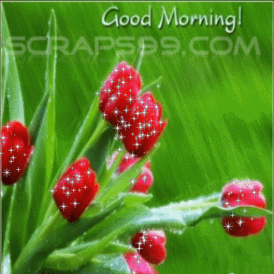 Good Morning - Glittering Flower-wg034184