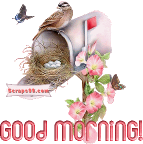 Glittering Nest - Good Morning-wg023133