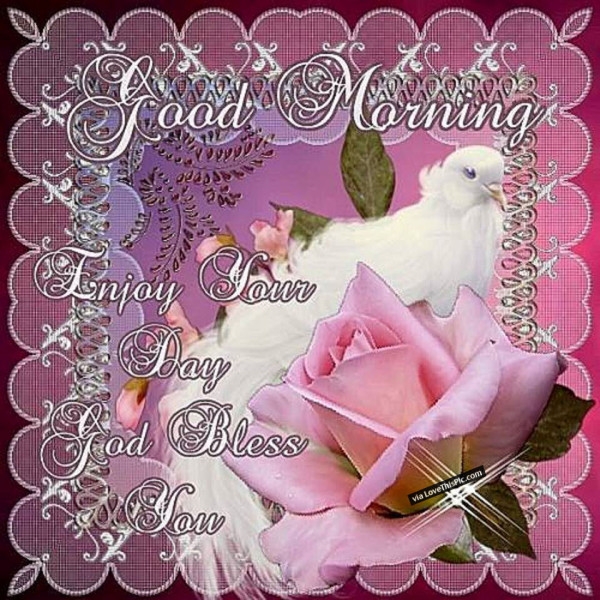 God Bless - Good Morning. Pink-wg11178