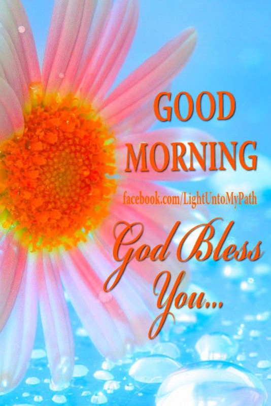 God Bless You -Good  Morning-wg034199