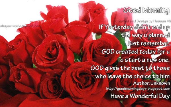 God Created Today For You-wg140240