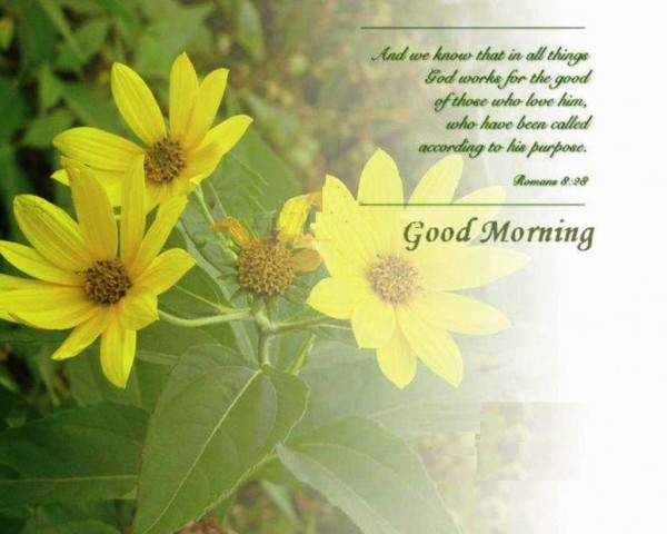 God Works For The Good - Good Morning-wg16137