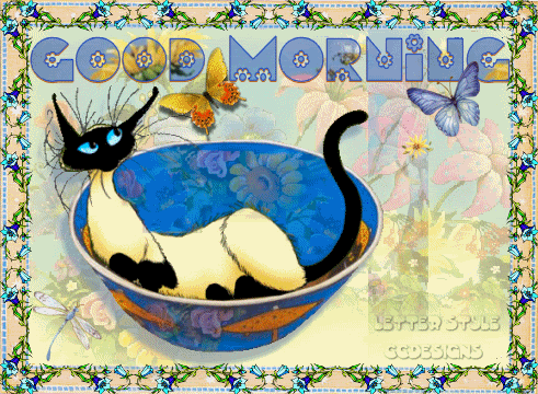Good Monring - Cat Animation-wg0180140