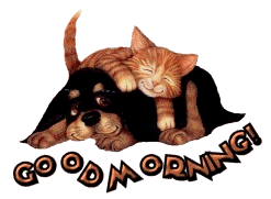 Good Monring - Sleepy Cat And Dog-wg0180158