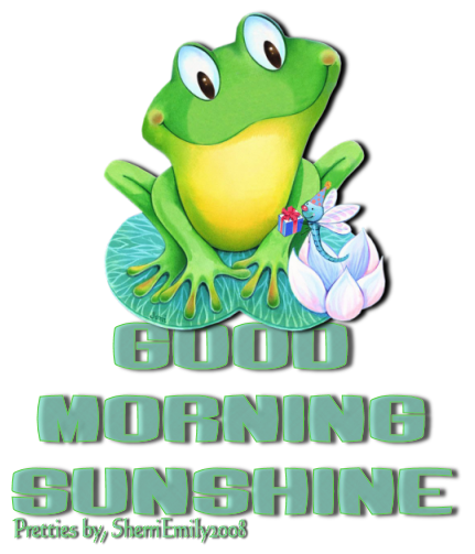 Good Monring Sunshine !-wg0180167