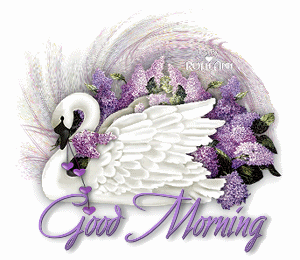 Good Morning With Duck Glitter Image-wg018032