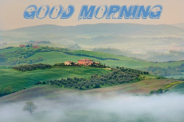 Good Morning - Amazing Nature-wg16139
