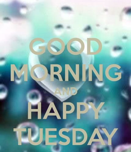 Good Morning And Happy Tuesday-wg16240
