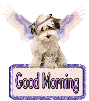 Good Morning - Angel Dog-wg018041