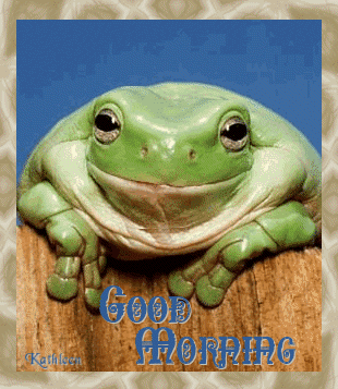 Good Morning - Animated Frog-wg0180199