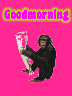 Good Morning - Animated Monkey-wg0180203