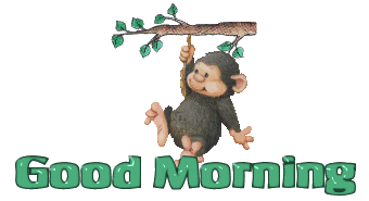 Good Morning - Animated Monkey-wg018053
