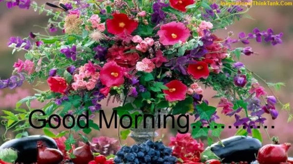 Good Morning - Beautiful Flowers-wg140253