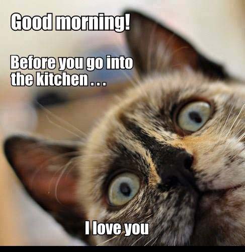 Good Morning - Before You Go Into The Kitchen-wg034100