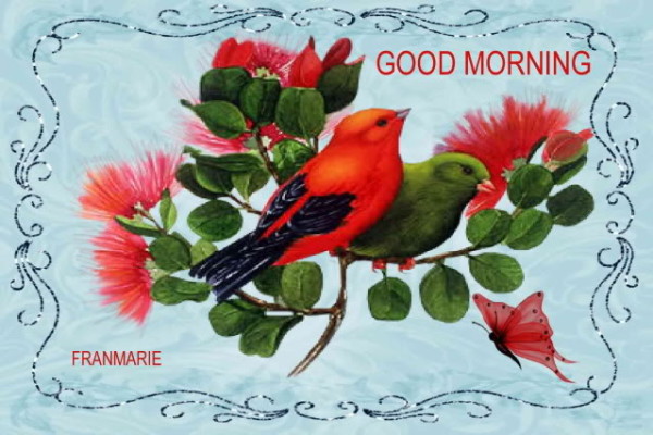 Good Morning - Birds Image-wg0180227