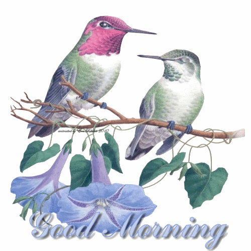 Good Morning - Birds Whispering-wg0180228