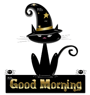 Good Morning - Black Cat-wg0180229