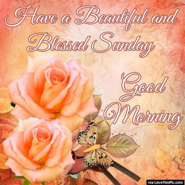 Good Morning - Blessed Sunday-wg11336