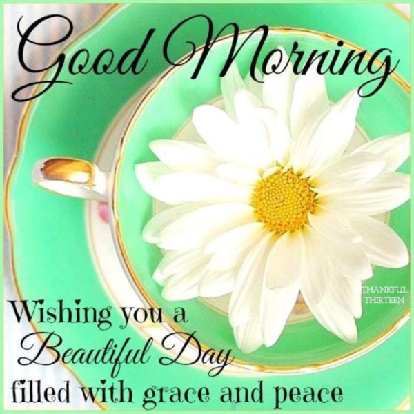 Good Morning -  Blessing Day-wg034220