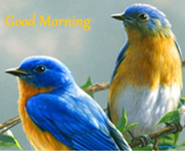 Good Morning - Blue Birds-wg16152