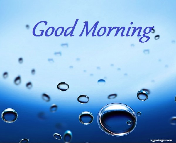 Good Morning - Bubbles-wg16156