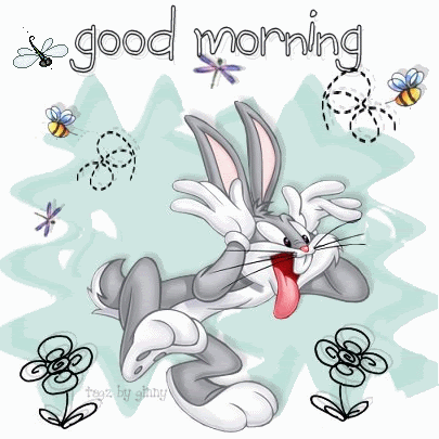 Good Morning - Bunny Teasing-wg0180245