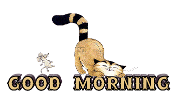 Good Morning – Cat And Mouse Making Fun