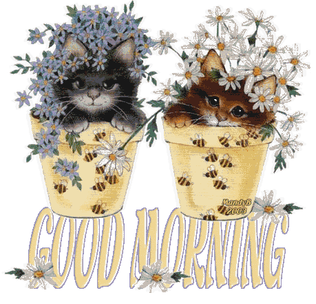 Good Morning – Cat Animated Image