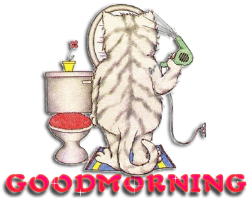 Good Morning - Cat Animation !-wg0180253