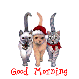Good Morning - Cat Animation !-wg018081