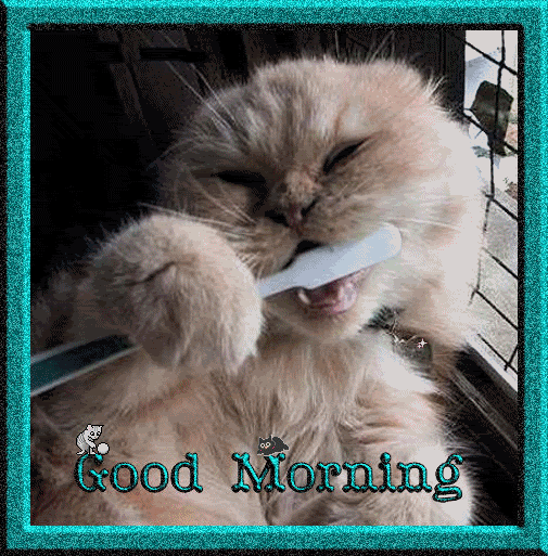 Good Morning - Cat Brushing Teeth-wg0180255