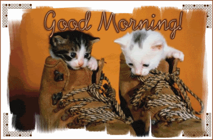 Good Morning - Cat Pic-wg0180259