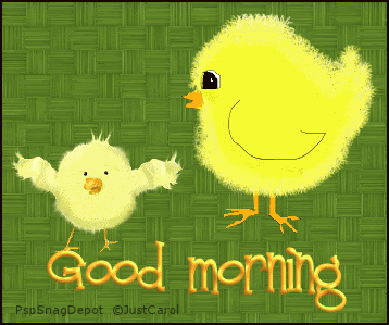 Good Morning - Chicken-wg0180261
