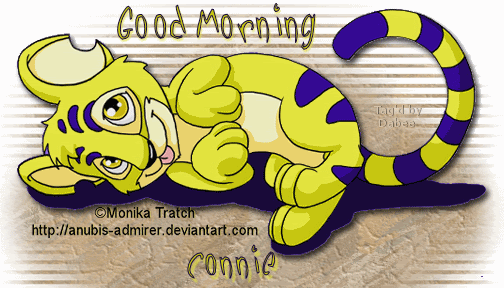Good Morning - Colorful Cat-wg0180267