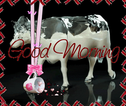 Good Morning - Cow-wg0180275