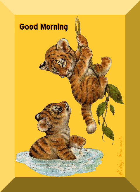Good Morning - Cubs Playing-wg0180277