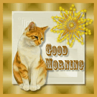 Good Morning - Cute Cat Image-wg0180283