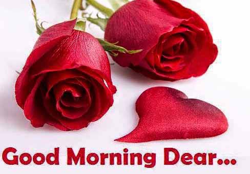 Good Morning Dear – Roses