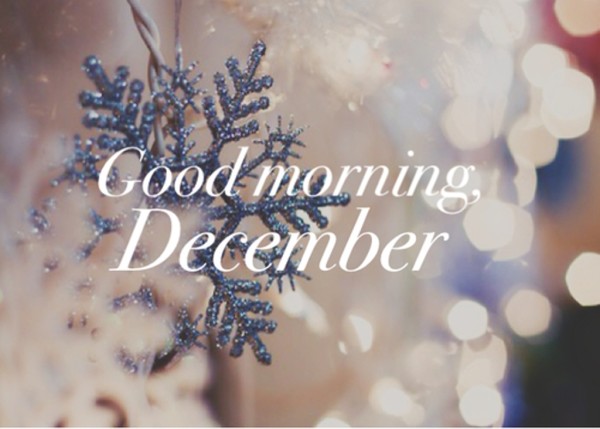 Good Morning December-wg034243