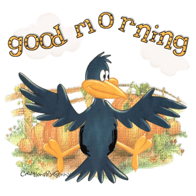 Good Morning - Flying Bird-wg018110