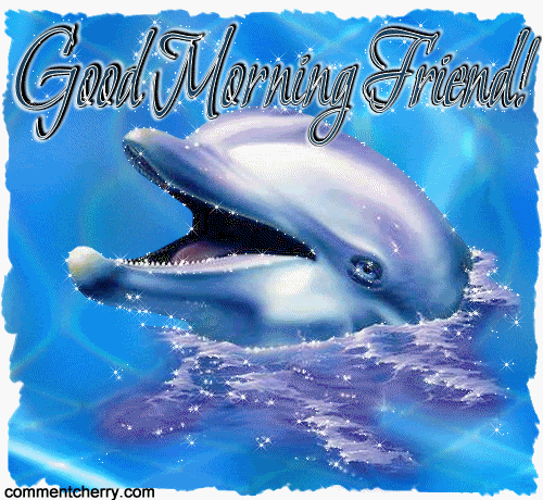 Good Morning Friends - Dolphin-wg0180651