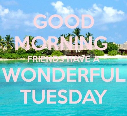 Good Morning Friends Have A Wonderful Tuesday-wg16258