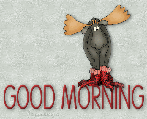 Good Morning Gif Funny