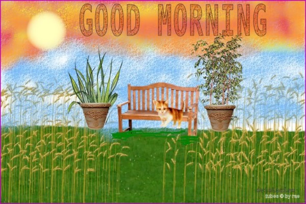 Good Morning - Garden Image-wg0180335