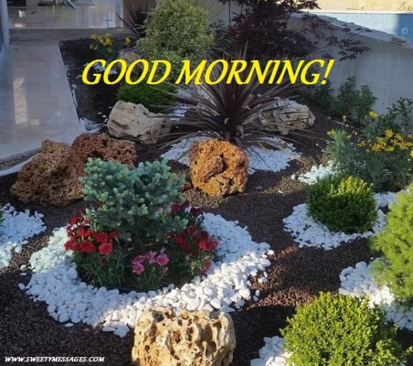 Good Morning - Garden Image-wg140261