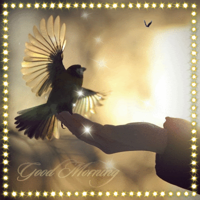 Good Morning - Glittering Bird-wg0180354
