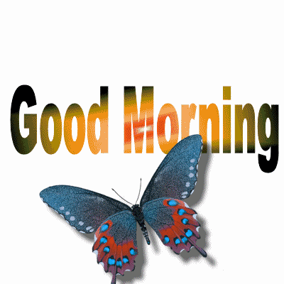 Good Morning - Glittering Butterfly-wg0180355