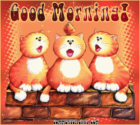 Good Morning - Glittering Cats-wg0180358